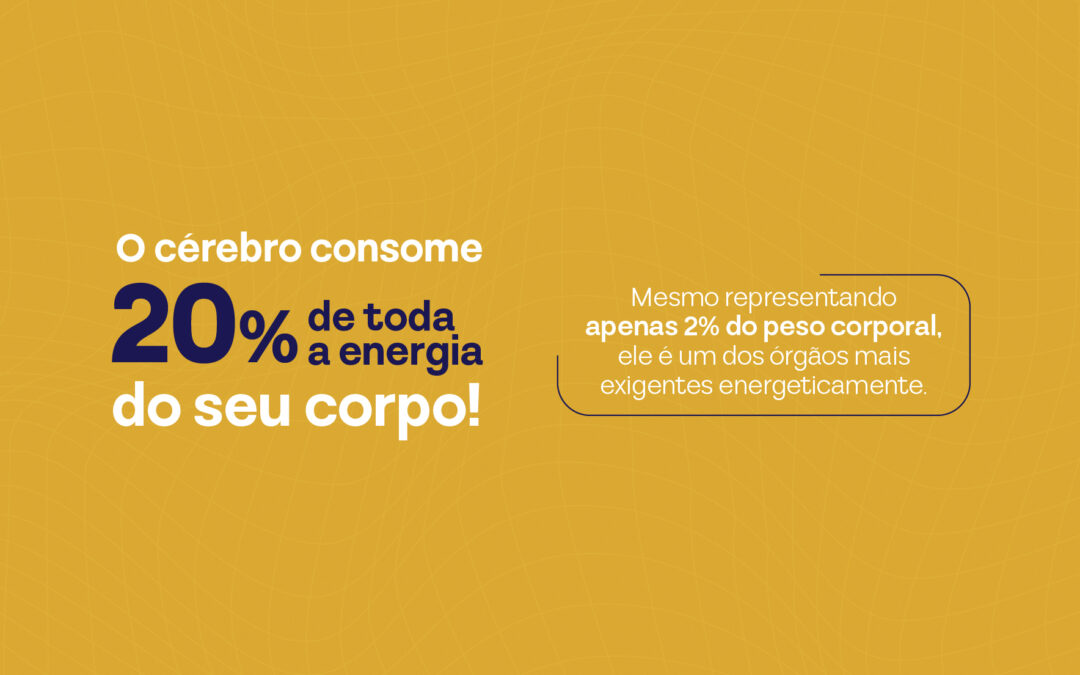 O cérebro consome 20% de toda a energia do seu corpo: entenda por quê