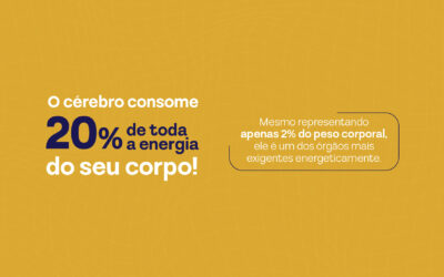 O cérebro consome 20% de toda a energia do seu corpo: entenda por quê